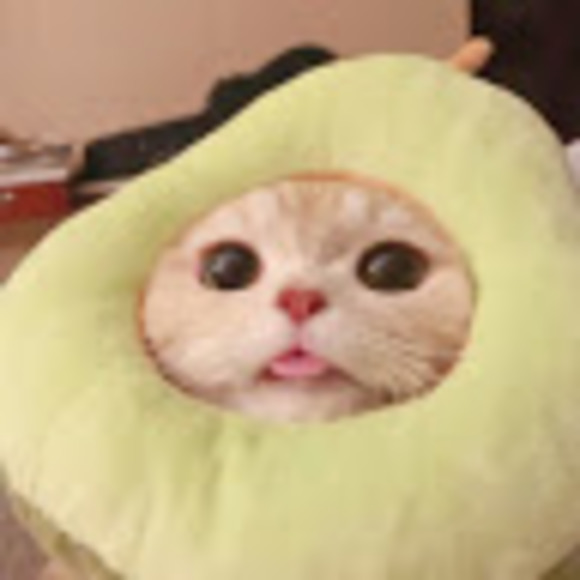 Meet your Posher, Koriki - Picture 1 of 1